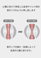 【医療用着圧ソックス】 スットキュット