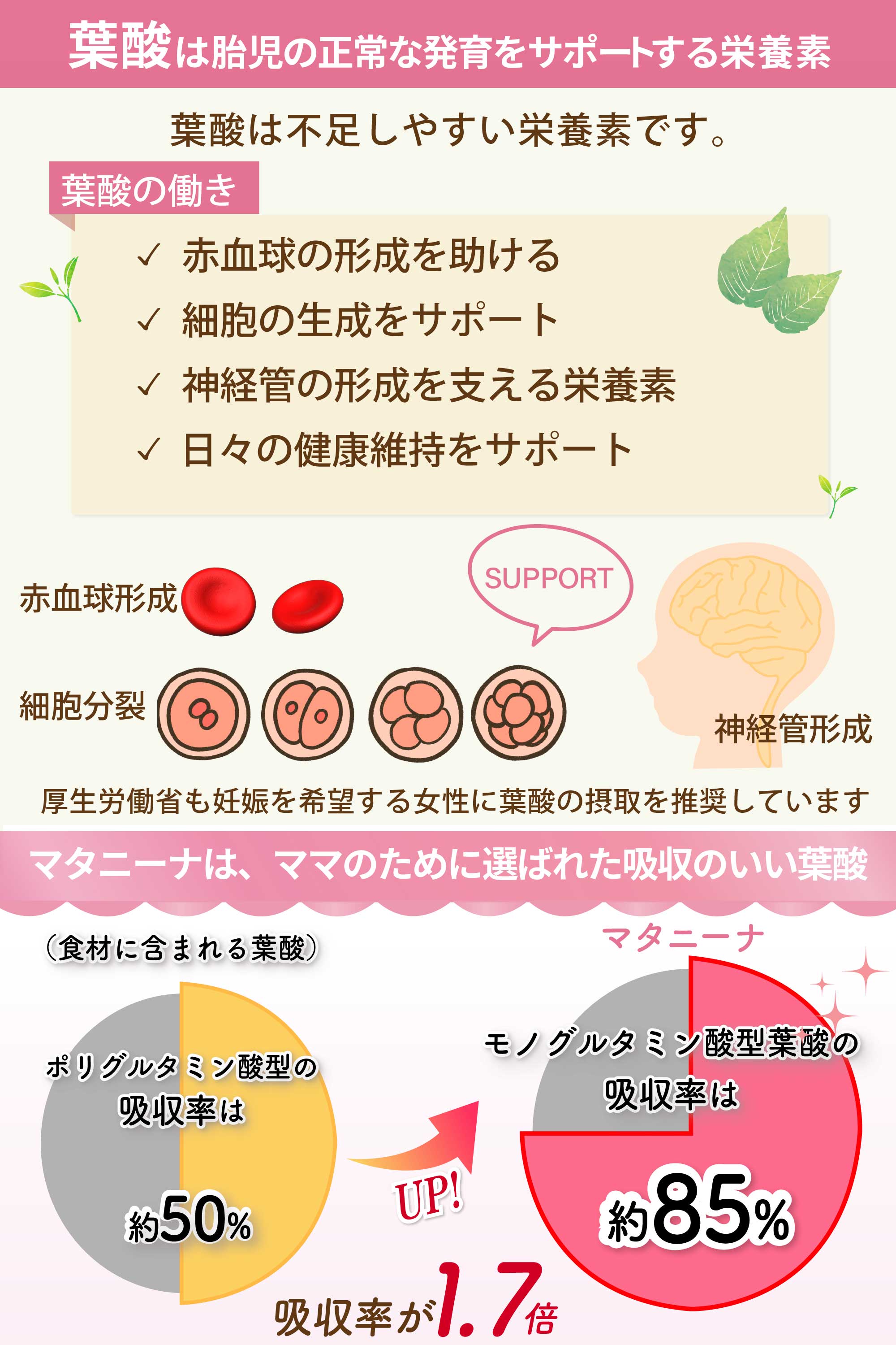 【腸活葉酸サプリ】 マタニーナ